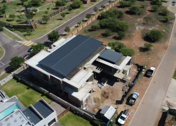 Aloes 7631